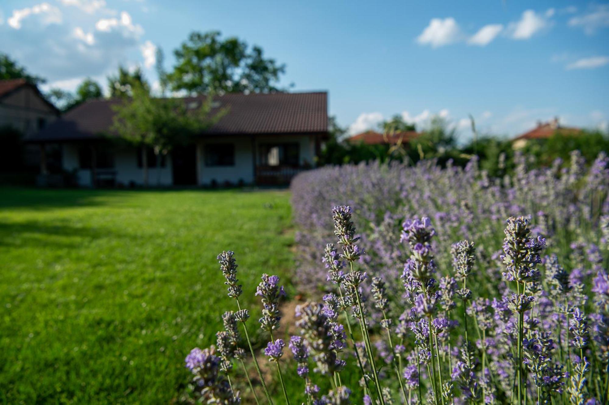 Walnut Cottage 1 Deredzhik-Koy Экстерьер фото