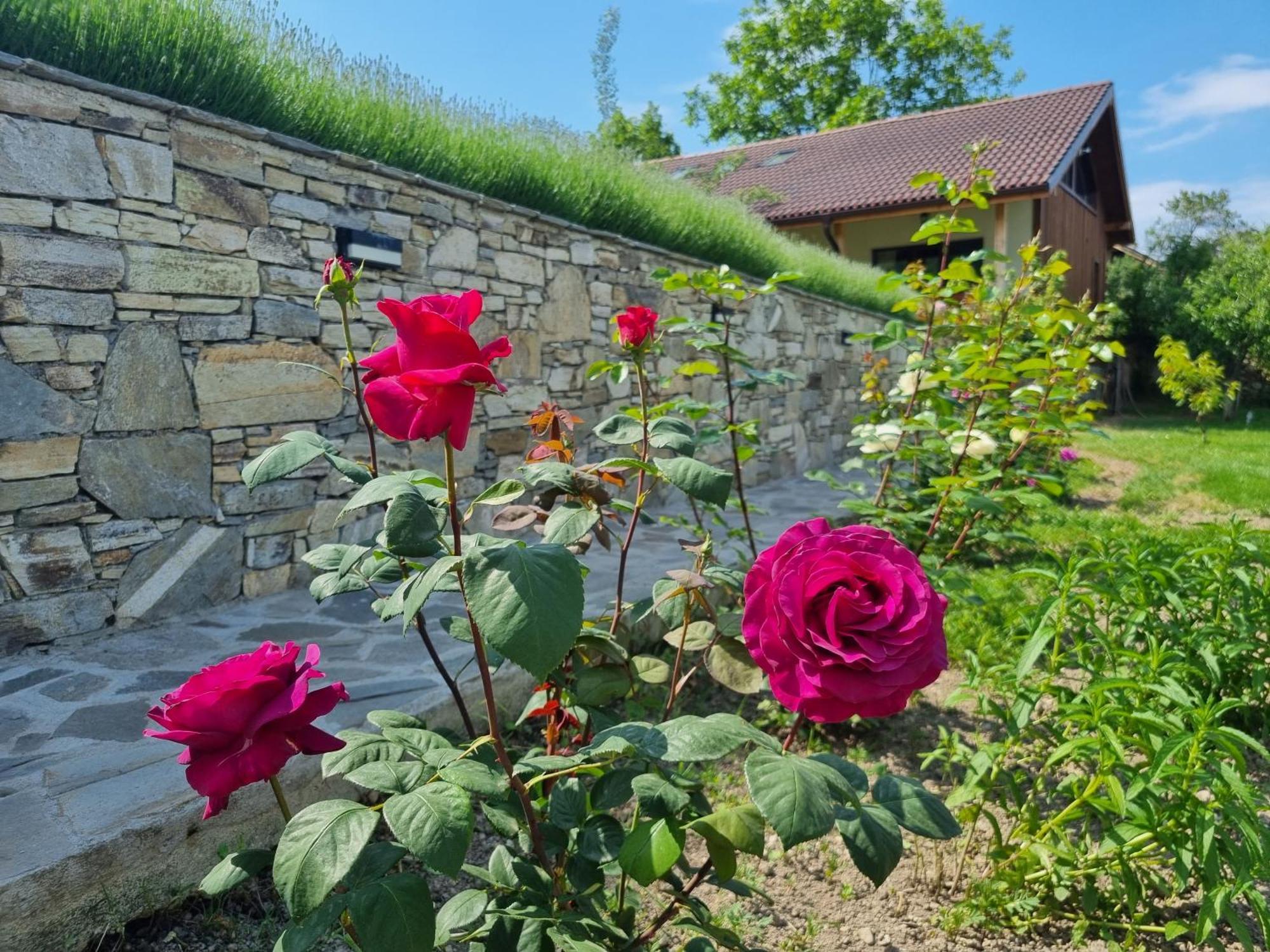 Walnut Cottage 1 Deredzhik-Koy Экстерьер фото